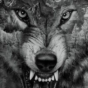 Meet your Posher, Adam